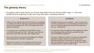 Updated Addiction 2 Epidemiology And Burden FINAL Slide26