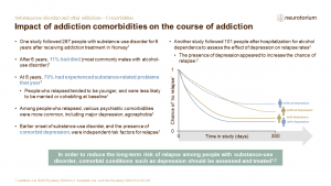 Impact of addiction comorbidities on the course of addiction