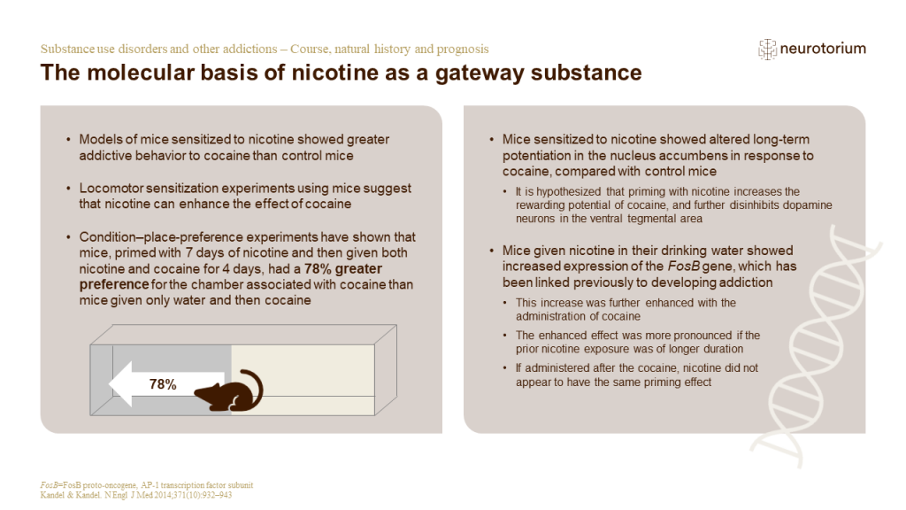 The molecular basis of nicotine as a gateway substance