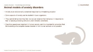 Animal models of anxiety disorders