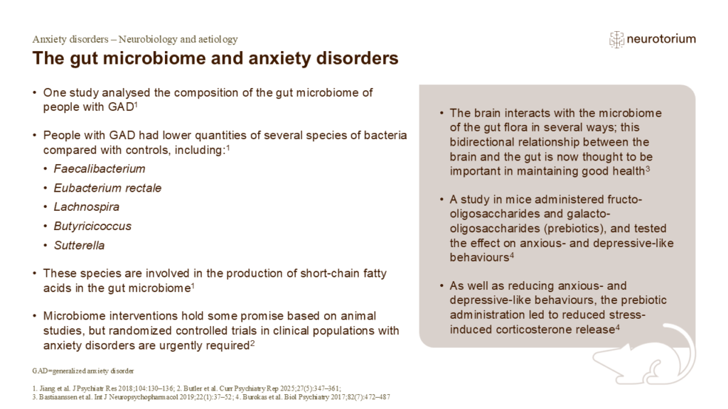 The gut microbiome and anxiety disorders