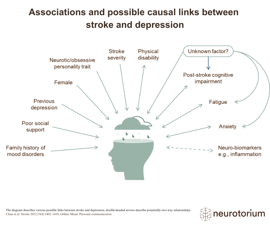 Associations and possible causal links between stroke and depression