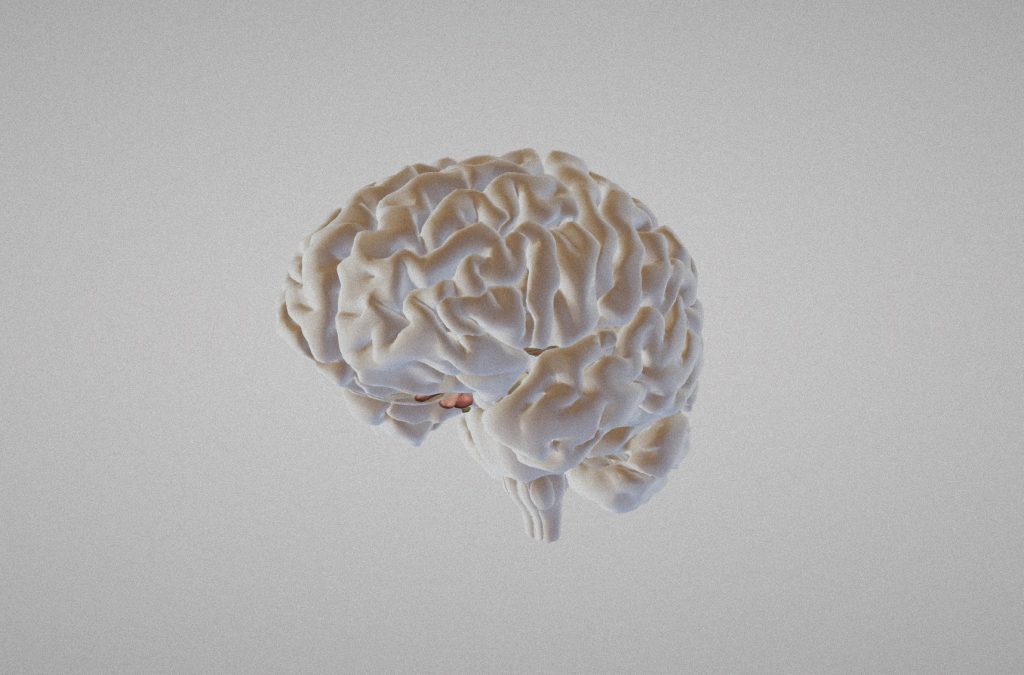 3D Brain Atlas