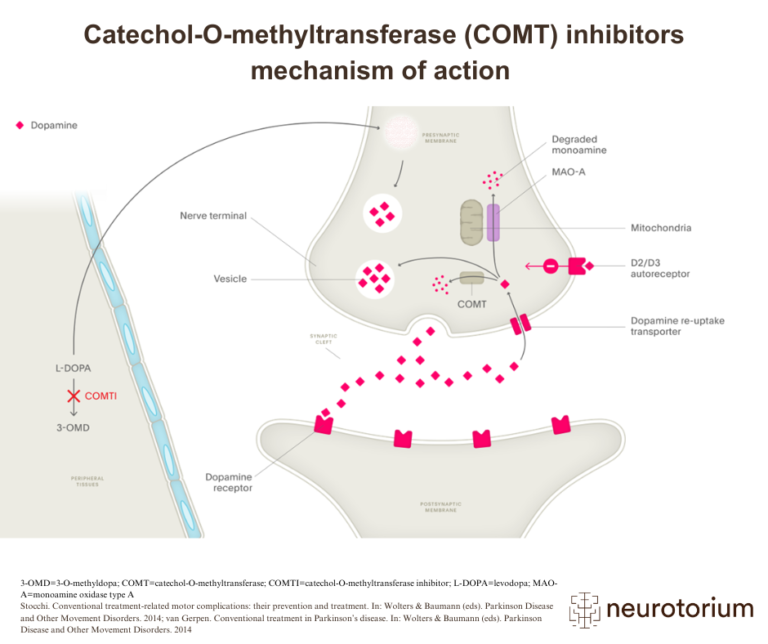 Diagram showing how COMT inhibitors block the conversion of L-DOPA to 3-OMD, enhancing dopamine levels in the synapse in Parkinson’s disease.