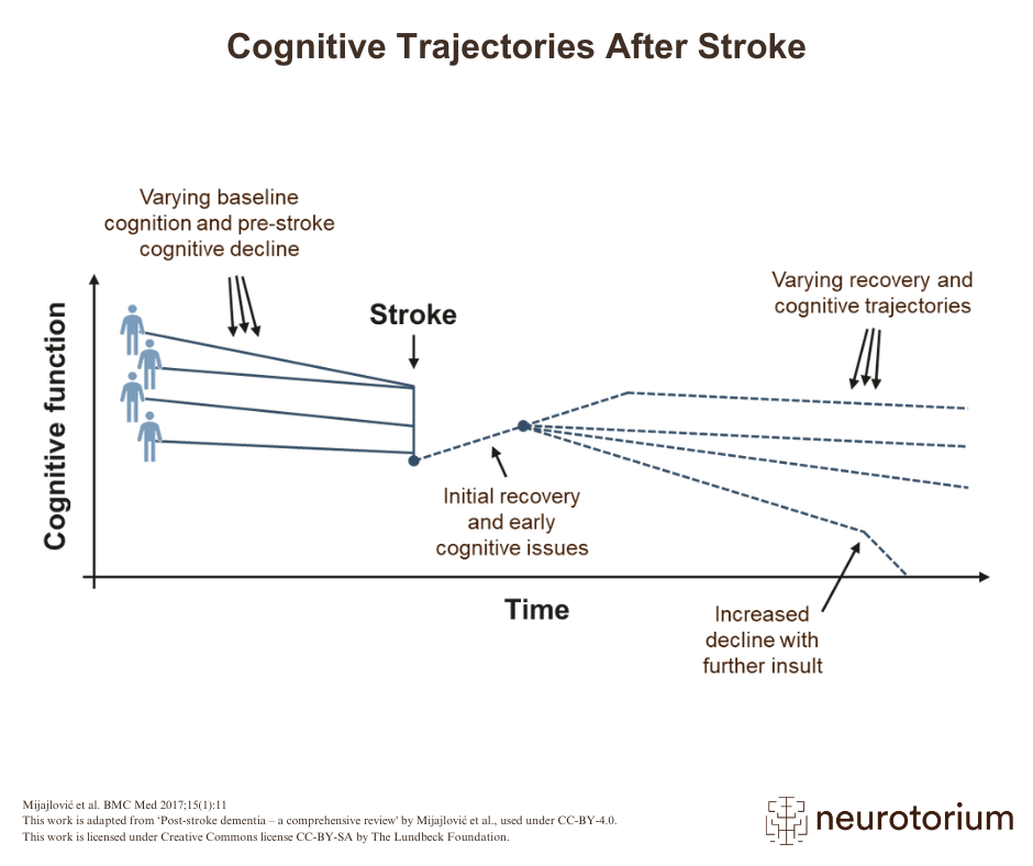 There are different paths of recovery that a patient can take after a stroke, which range from some degree of cognitive recovery to a steep decline and recurrent strokes