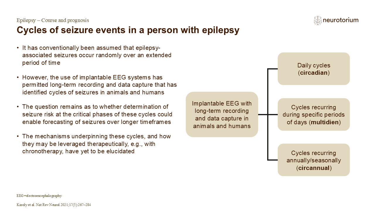 Cycles of seizure events in a person with epilepsy - Neurotorium