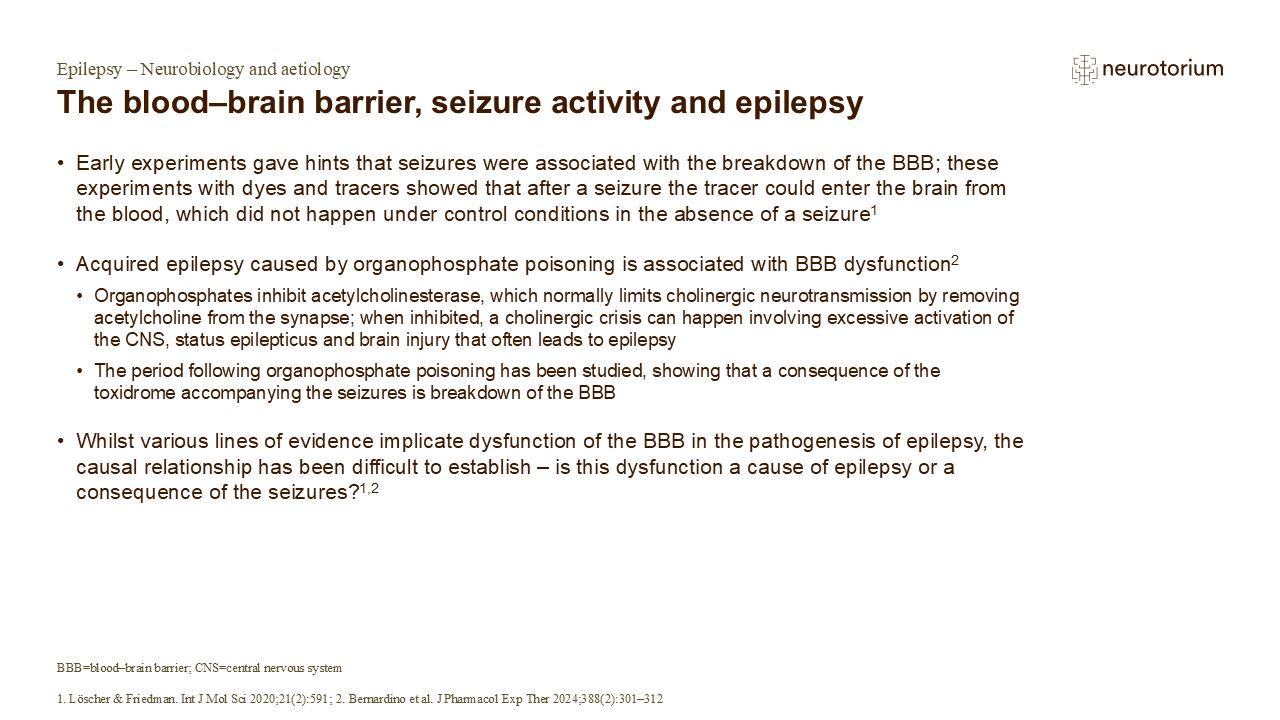 The blood–brain barrier, seizure activity and epilepsy - Neurotorium
