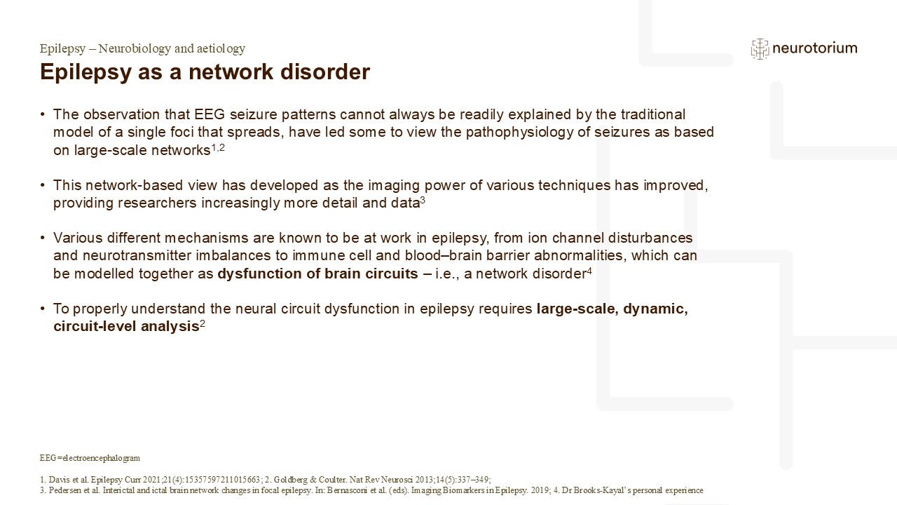 Epilepsy as a network disorder - Neurotorium