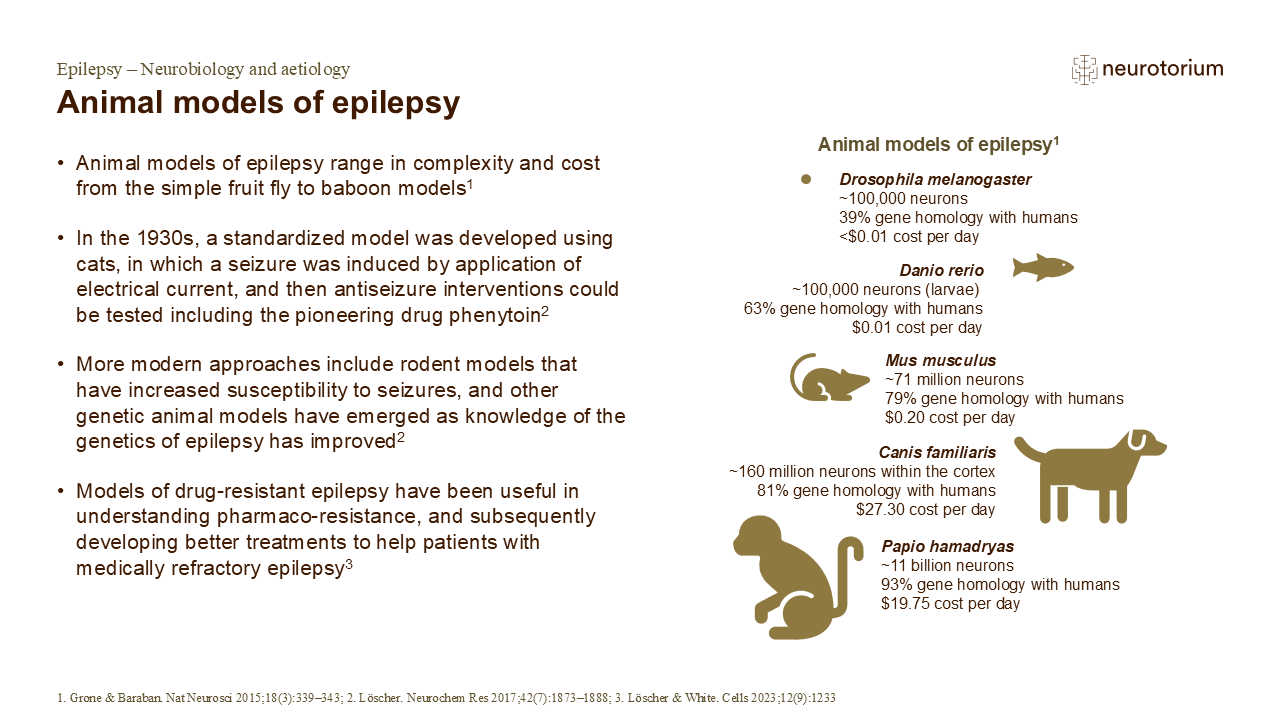 Animal models of epilepsy - Neurotorium