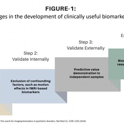 Stages in the development of clinically useful biomarkers