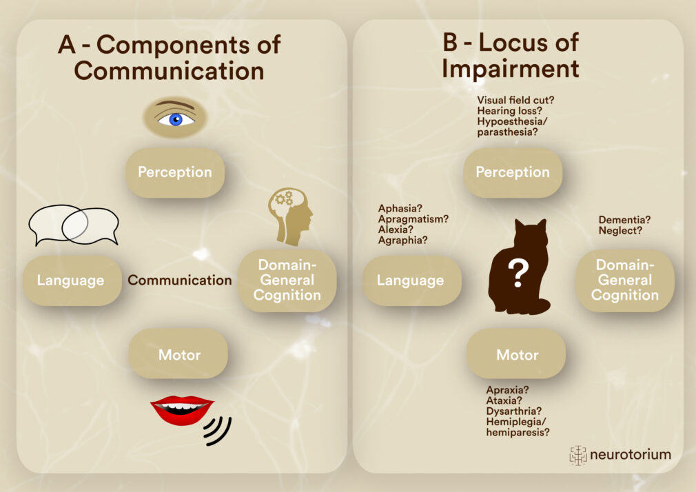 Components needed for a successful communication exchange and possible consequences of disrupted component functioning due to stroke