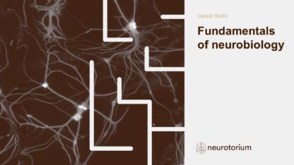 Fundamentals of Neurobiology