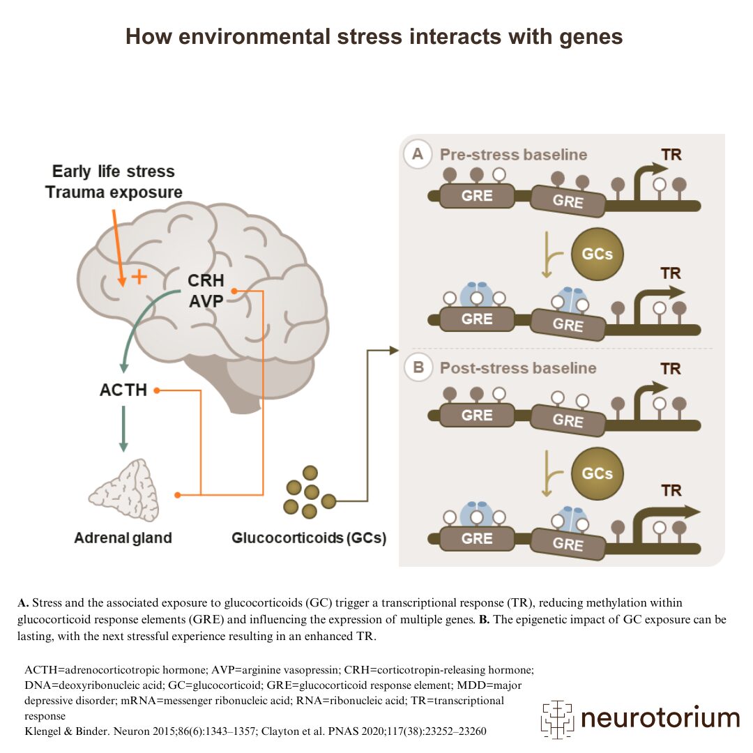 Depressive Environment Depression - Neurotorium
