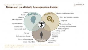 Major Depressive Disorder – Course Natural History and Prognosis – slide 4