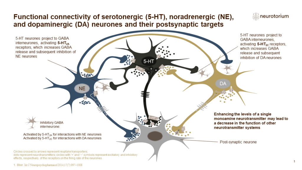 Functional connectivity of serotonergic (5-HT), noradrenergic (NE), and dopaminergic (DA) neurones and their postsynaptic targets