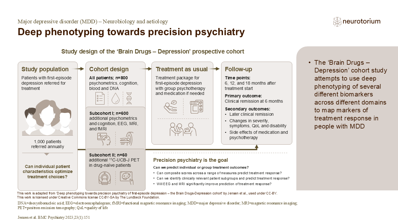Deep phenotyping towards precision psychiatry