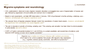 Migraine History Definitions And Diagnosis - Slide13