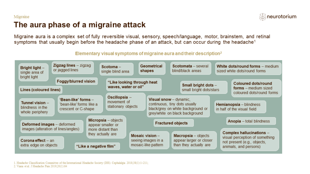 Migraine History Definitions And Diagnosis - Slide26