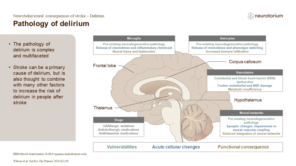 Pathology of delirium