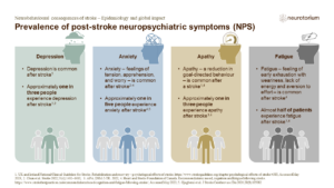 Prevalence of post-stroke neuropsychiatric symptoms (NPS)