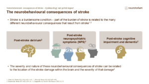 The neurobehavioural consequences of stroke
