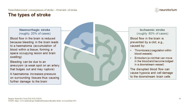 Neurobehavioural Consequences of Stroke (NBCS) - Neurotorium