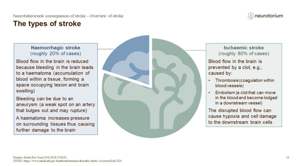 The types of stroke
