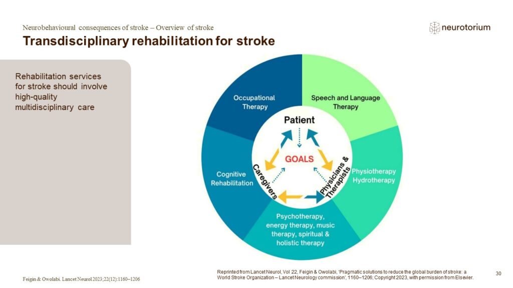 Transdisciplinary rehabilitation for stroke
