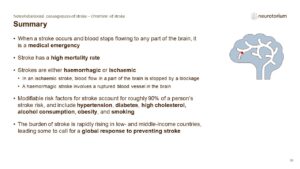 Summary of Overview of stroke