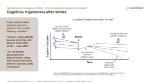 Cognitive trajectories after stroke