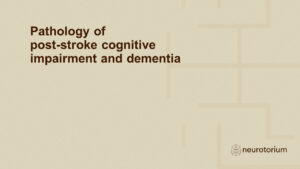 Pathology of post-stroke cognitive impairment and dementia