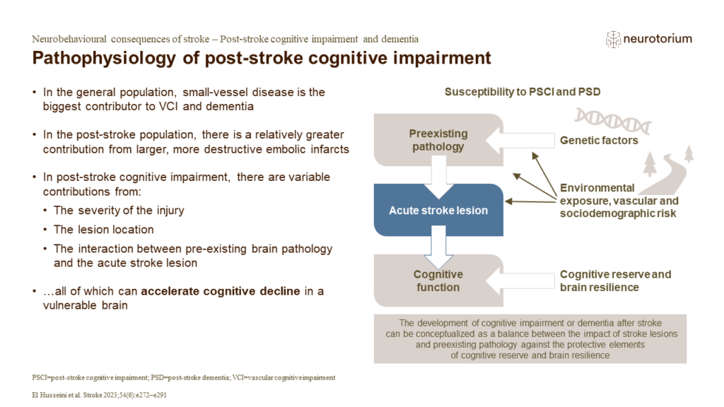 Pathophysiology of post-stroke cognitive impairment