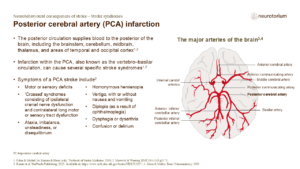 Posterior cerebral artery (PCA) infarction