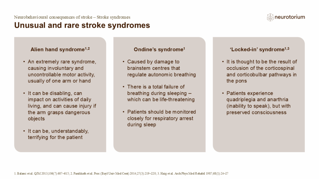 Unusual and rare stroke syndromes