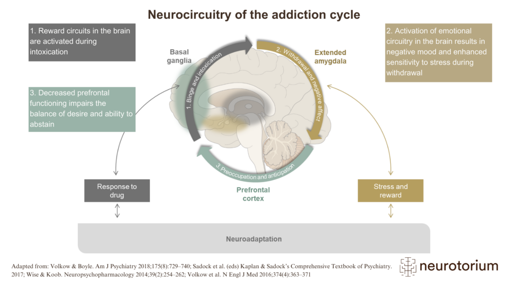 The image illustrates the interaction between neurocircuitry and behaviour of addiction, divided into binge/intoxication, withdrawal/negative affect, and preoccupation/anticipation, each of which is associated with the activation of certain neurological pathways.