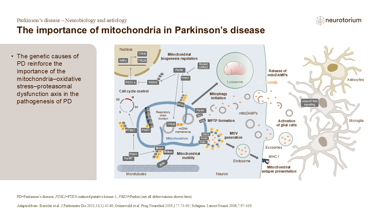 The importance of mitochondria in Parkinson’s disease