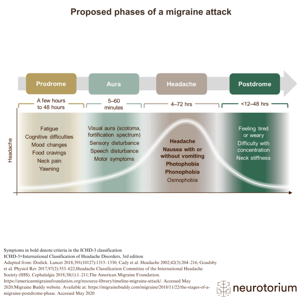Migraine attacks can be broken down into four phases: prodrome, aura, headache, and postdrome, as shown in the image.
