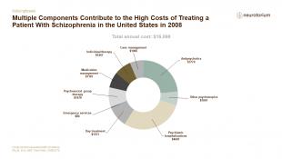 Schizophrenia – Epidemiology and Burden – slide 23