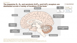 Schizophrenia - Neurobiology and Aetiology - slide 16