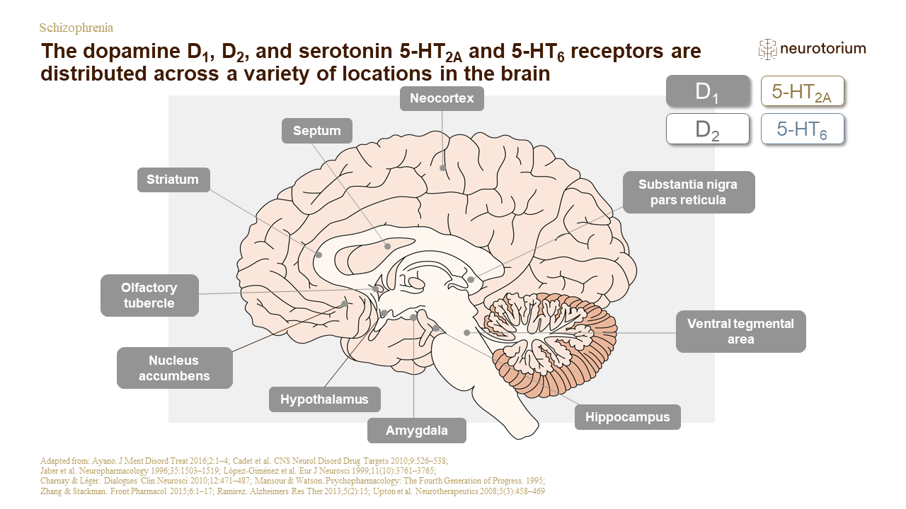 Schizophrenia – Neurobiology and Aetiology – slide 16