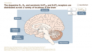 Schizophrenia - Neurobiology and Aetiology - slide 19