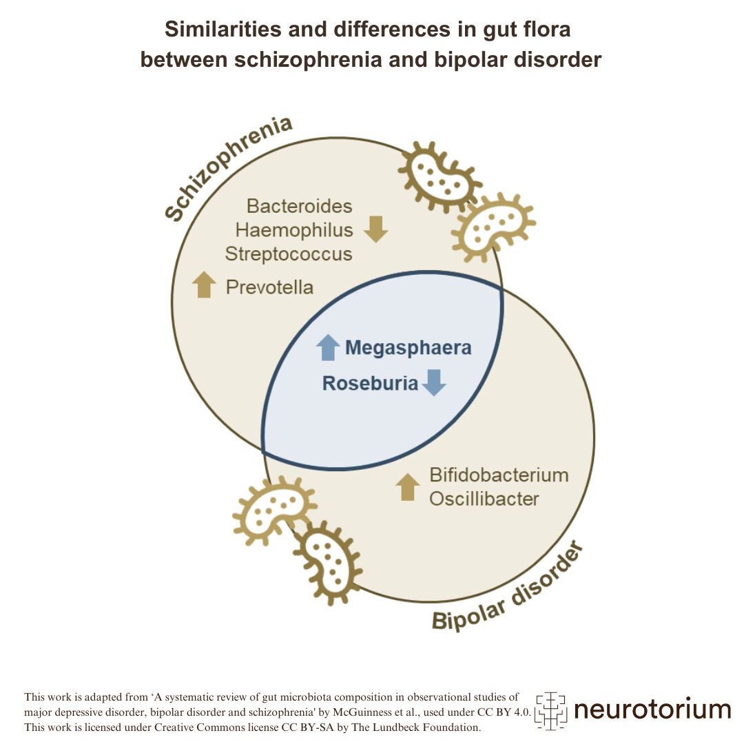 The composition of the gut microbiome is now thought to influence the pathology of mood disorders including schizophrenia and BD, via the microbiome–gut–brain axis