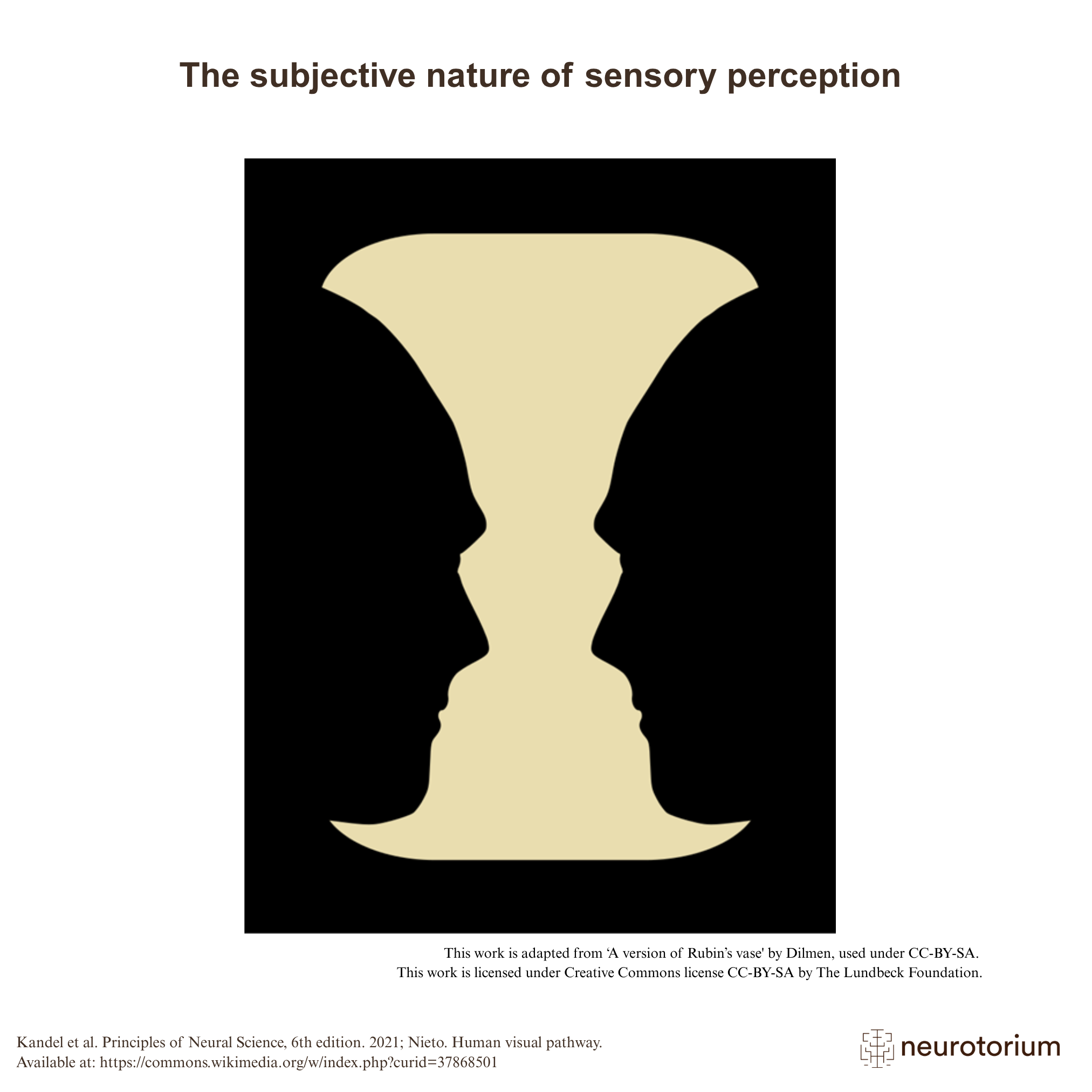 The subjective nature of sensory perception - Neurotorium
