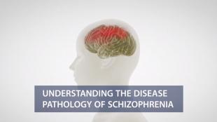 Understanding the Pathology of Schizophrenia
